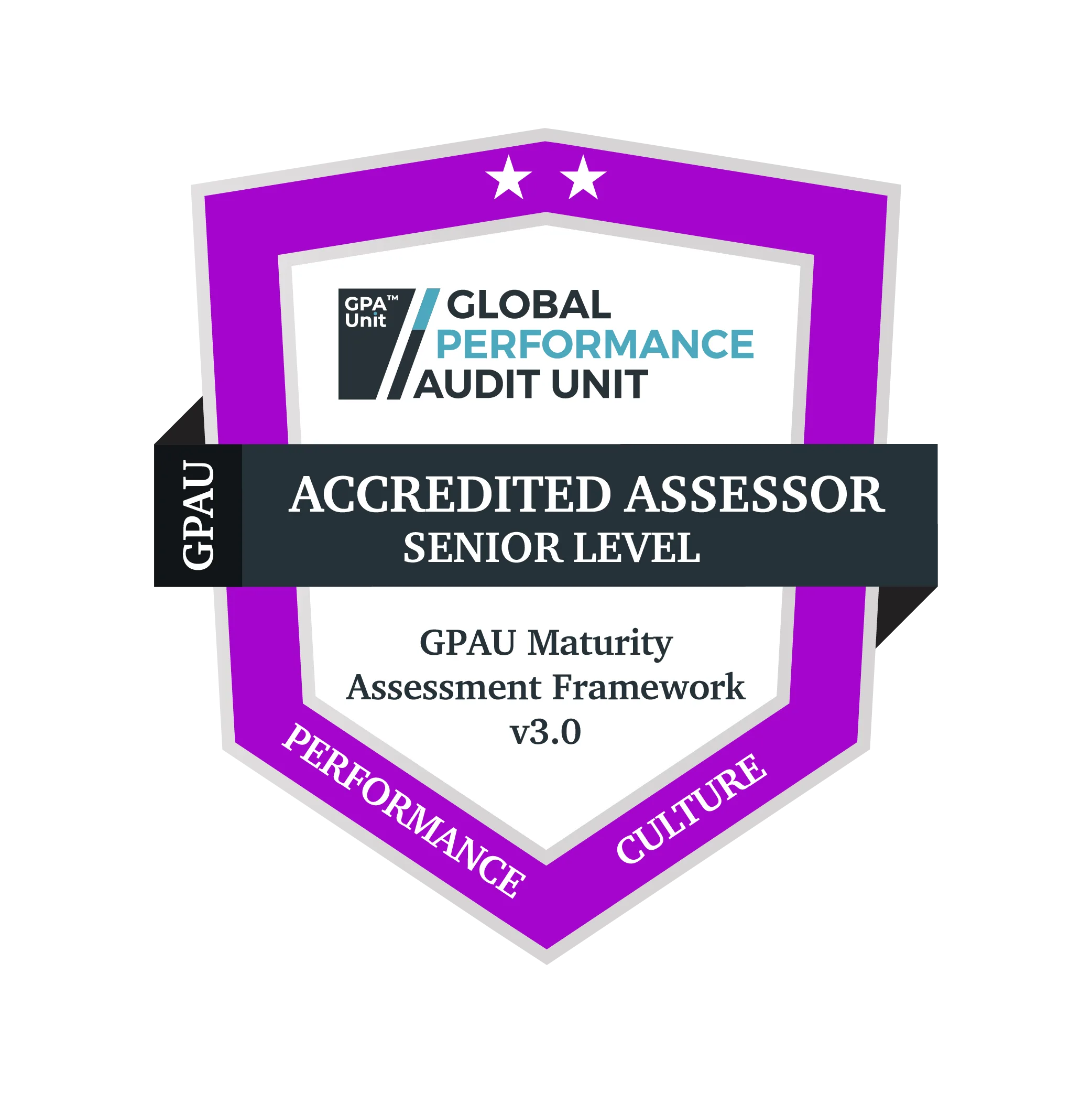 Performance Culture Senior badge