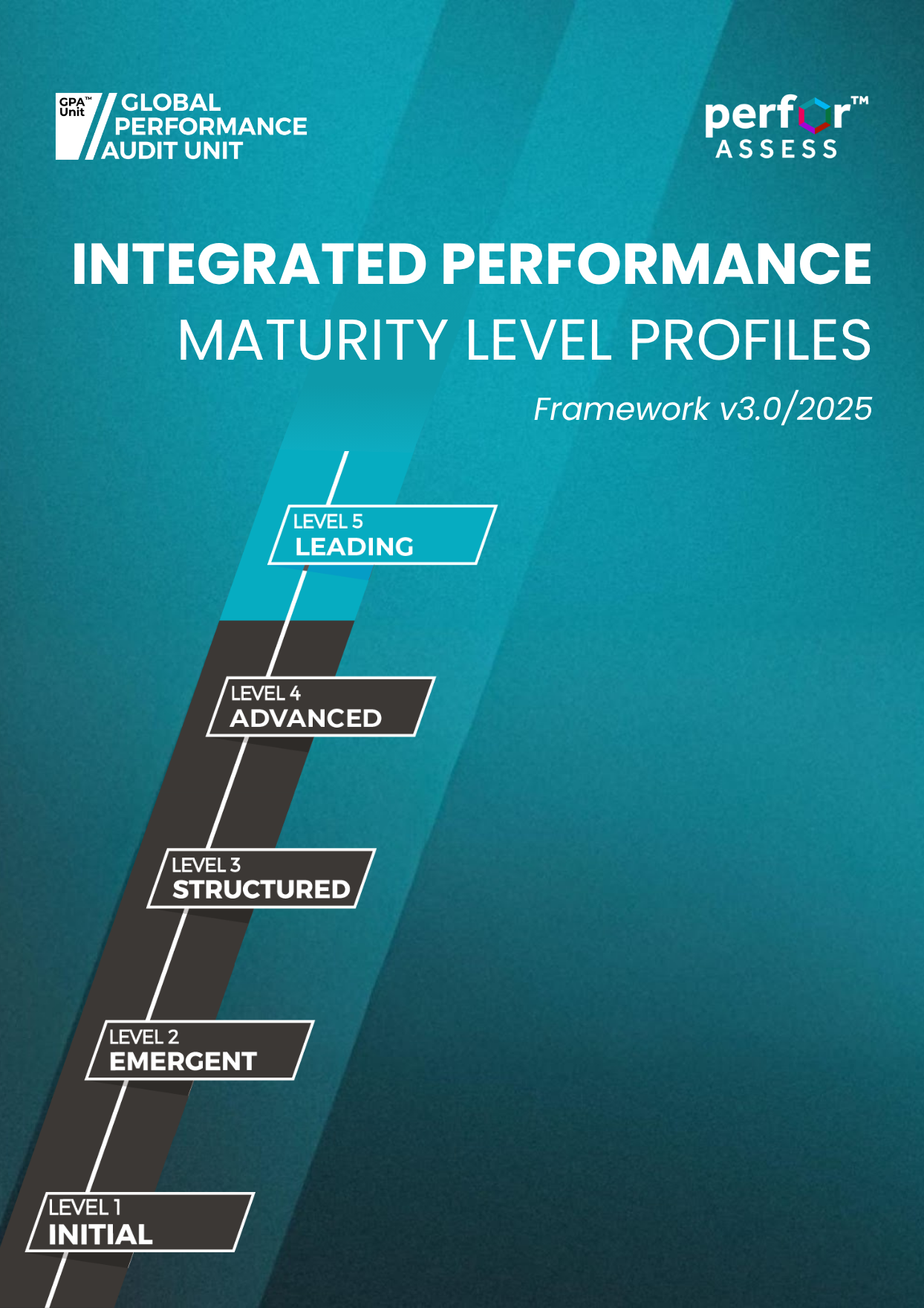 Integrated Performance Maturity Level Profiles
