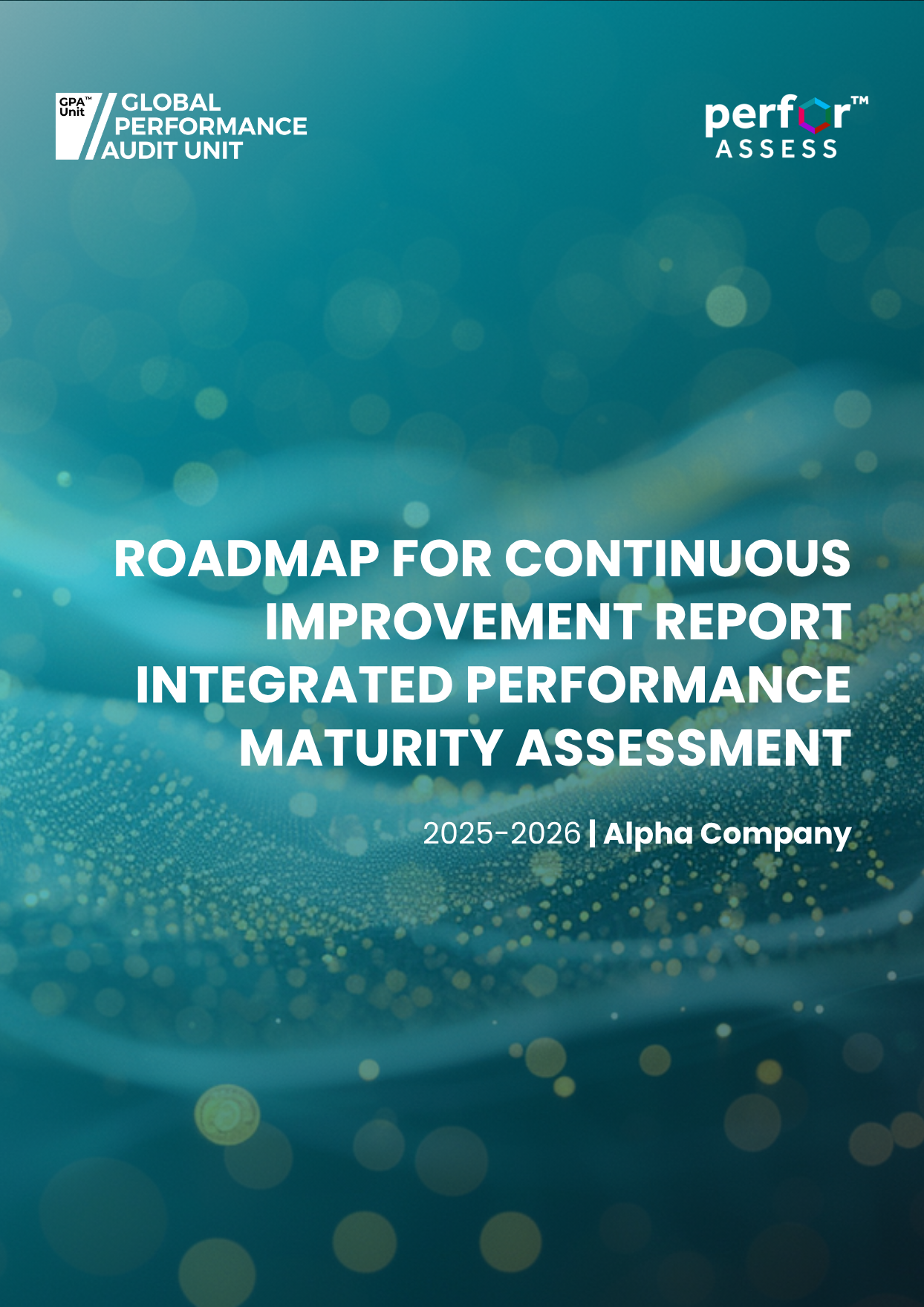 Roadmap for Continuous Improvement Report