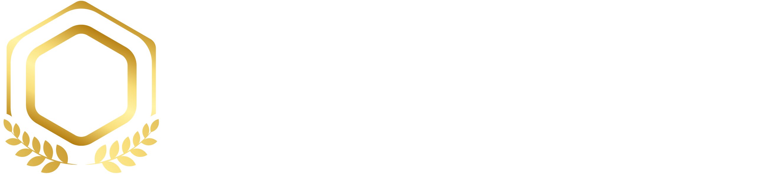 Performance Excellence Hall of Fame logo