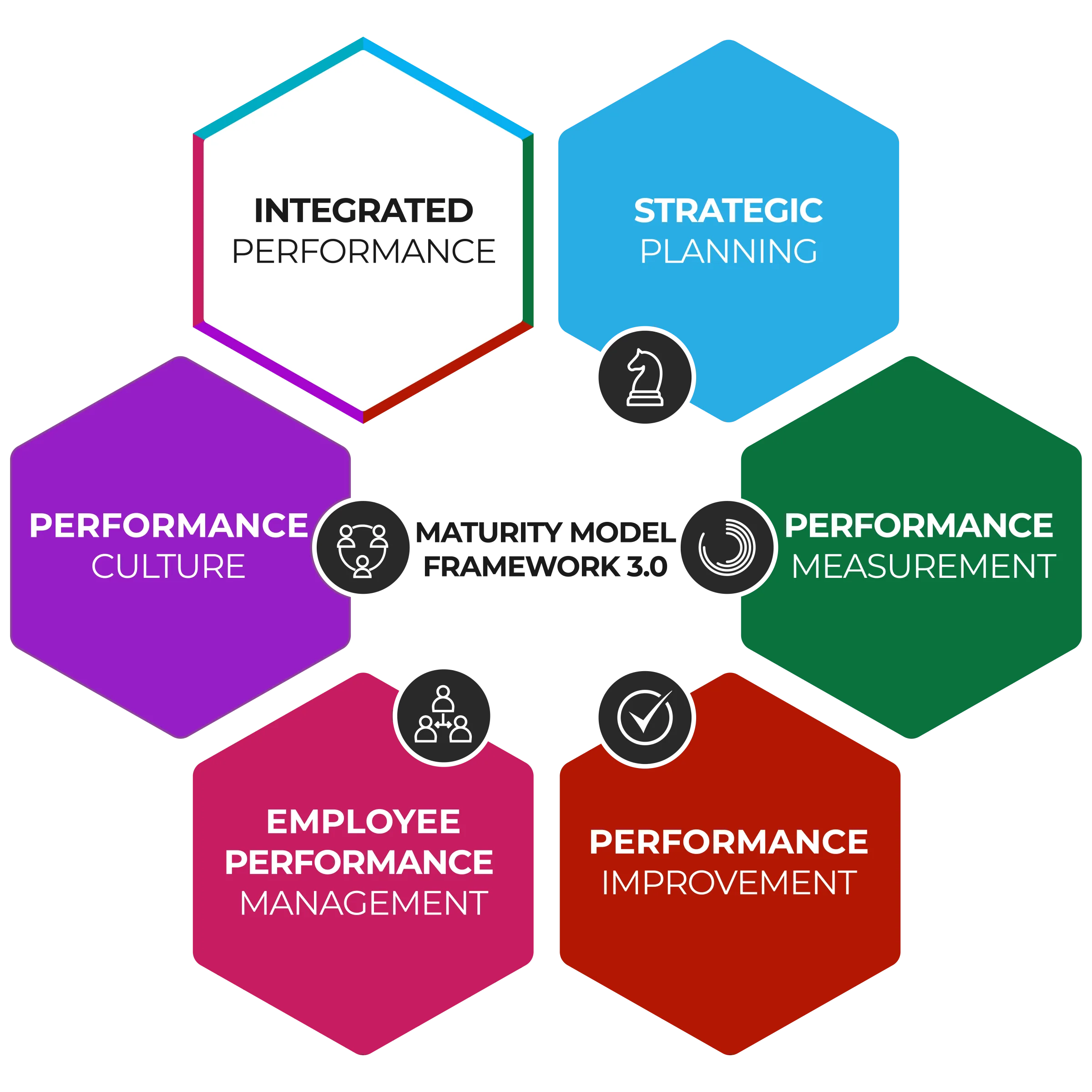 Organizational level