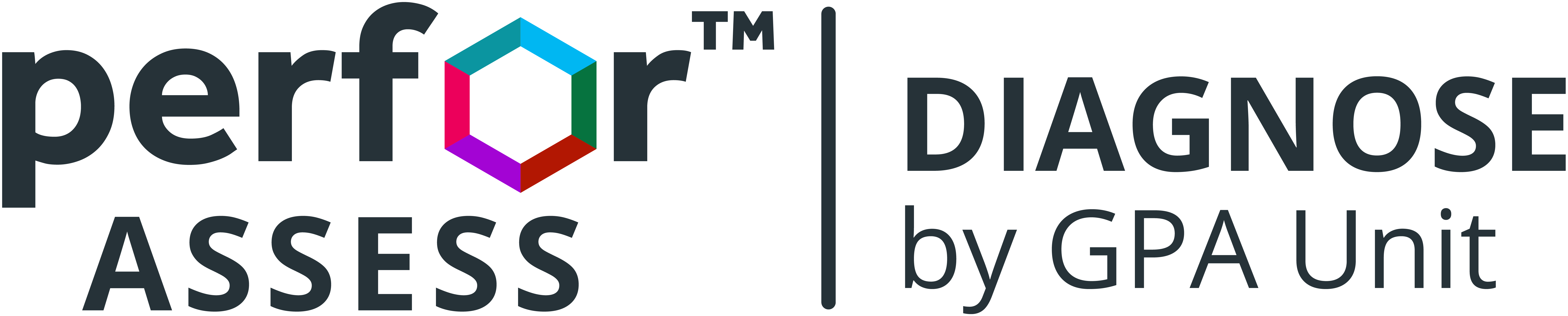 PerforAssess Diagnose